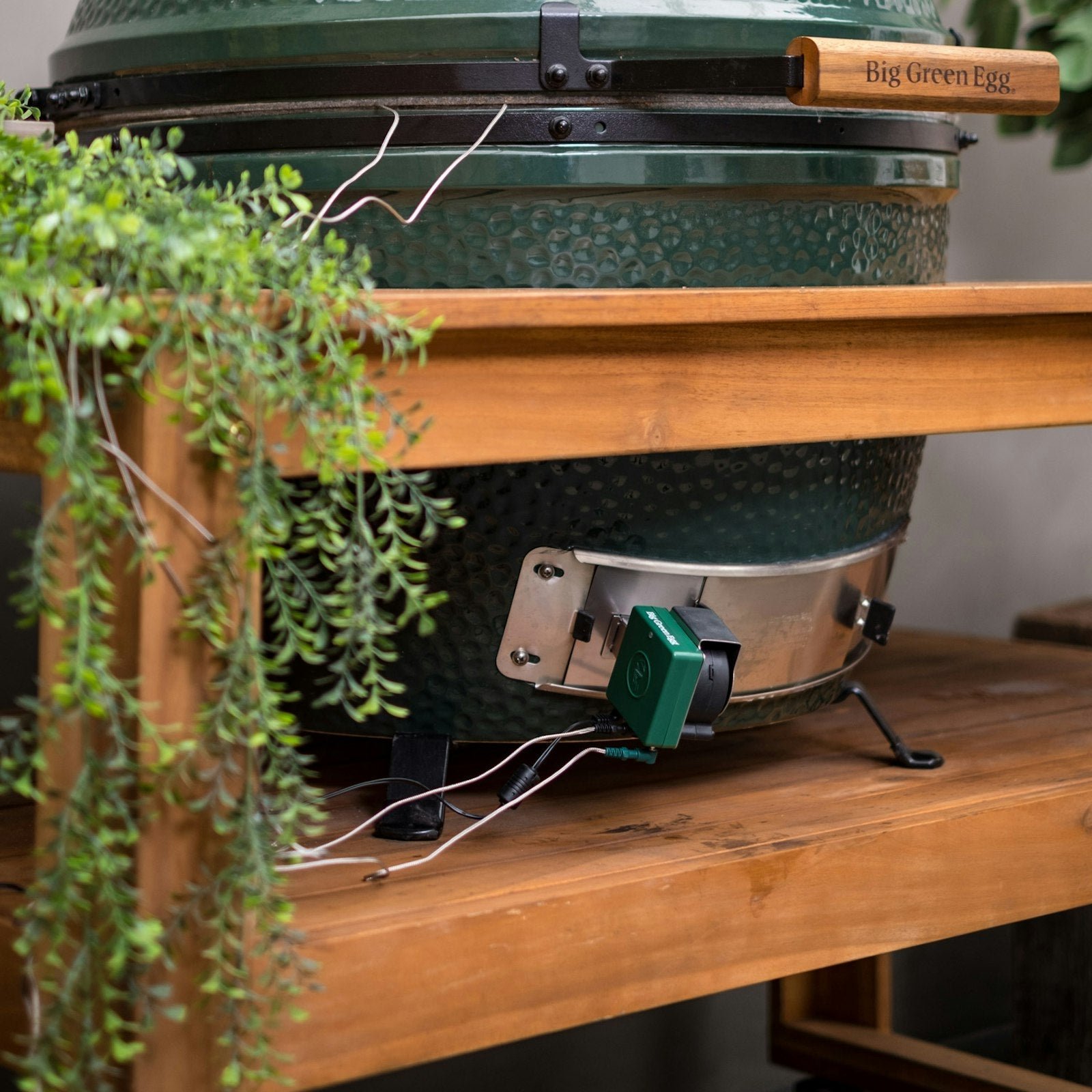 Big Green Egg - EGG Genius - Image 2